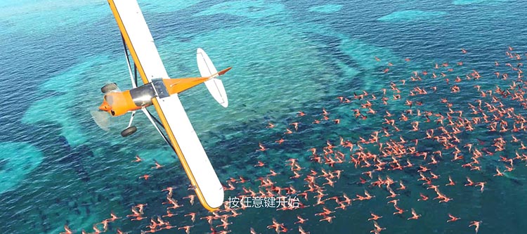 微软飞行模拟2020汉化中文版,直接玩-沙发分享站